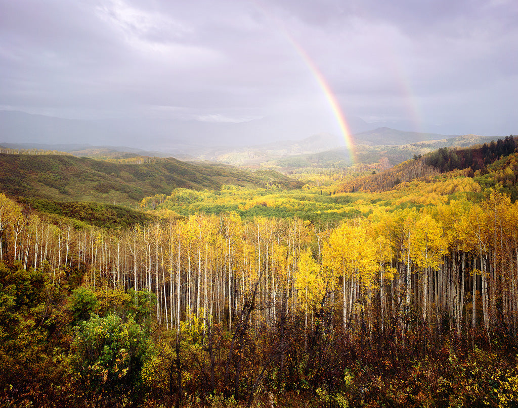 Kodak Ektar 100 4x5 Film (10 Sheets)