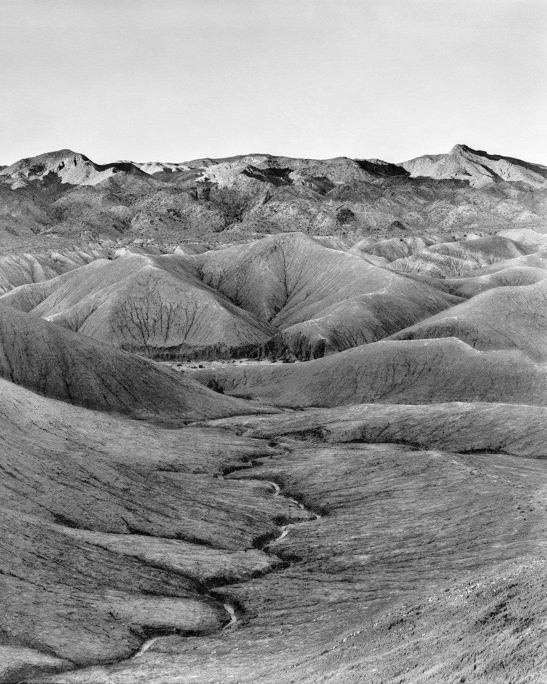 Ilford Delta 100 4x5 Film (25 Sheets)