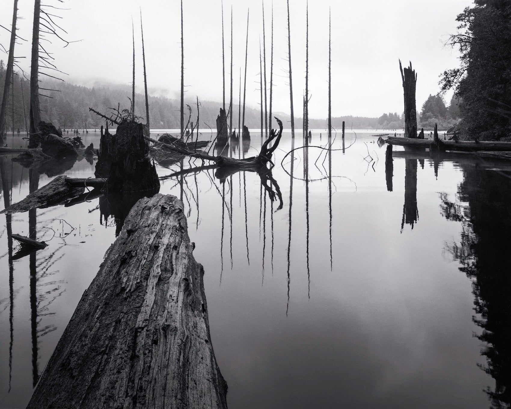 Ilford FP4 125 4x5 Film (25 Sheets)