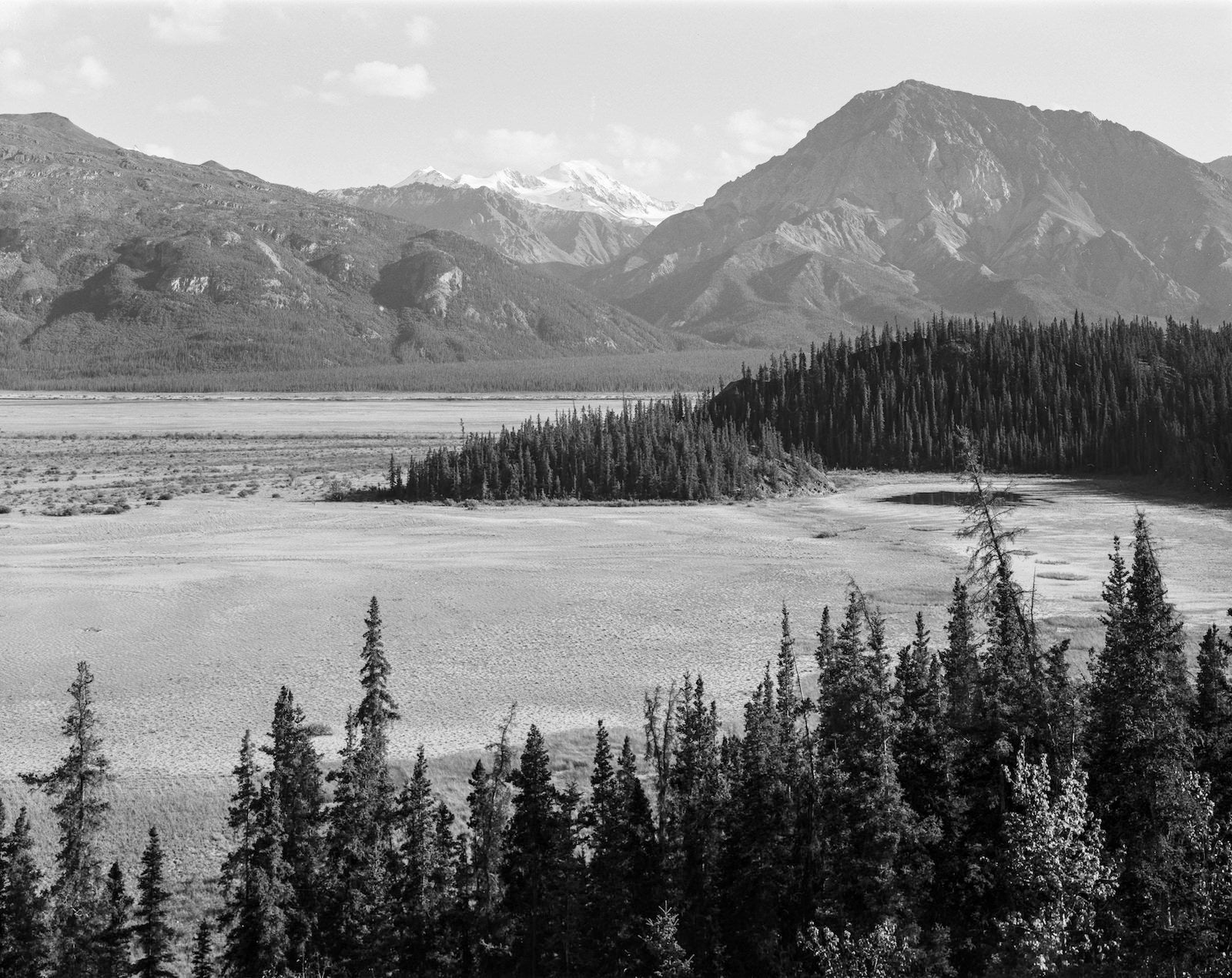 Ilford FP4 125 4x5 Film (25 Sheets)