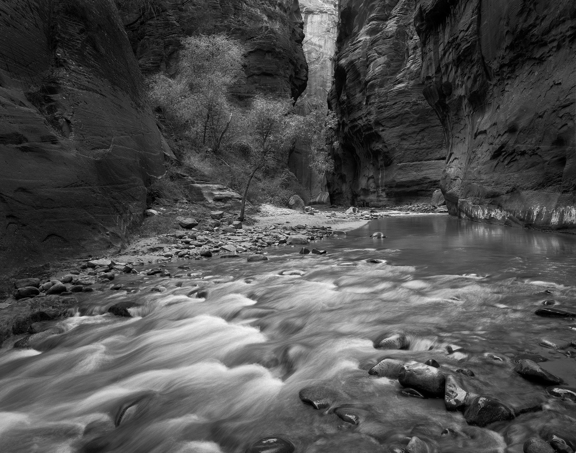 Ilford HP5 400 4x5 Film (25 Sheets)