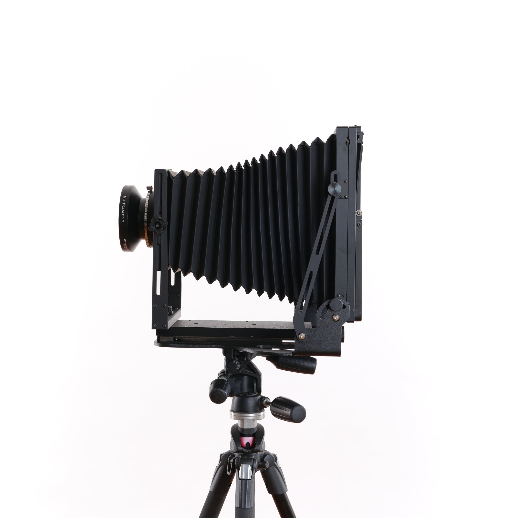 Intrepid 8x10 Black Edition