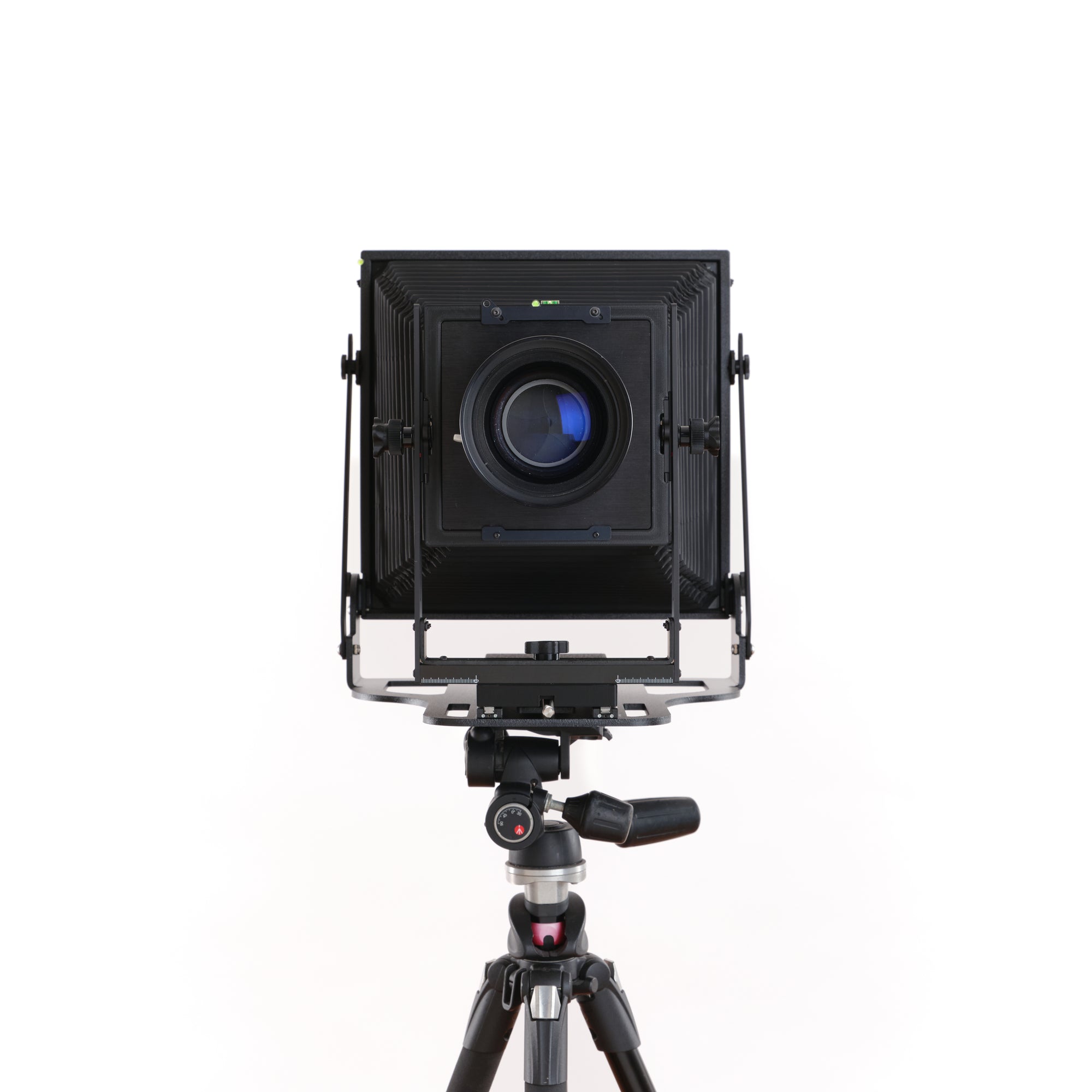 Intrepid 8x10 Black Edition